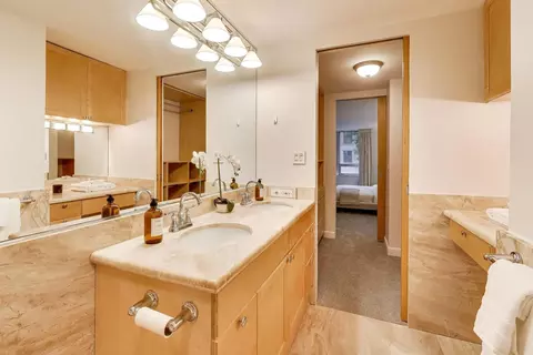 Bath - 201 E Chestnut St #3A, Chicago, IL 60611 photo 3 of 4