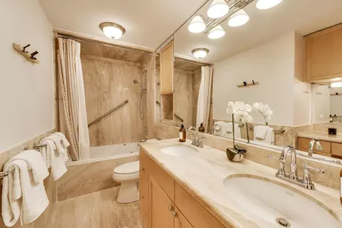 Bath - 201 E Chestnut St #3A, Chicago, IL 60611 photo 1 of 4