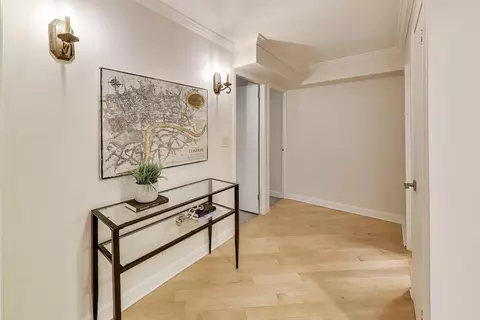 Entry Way - 201 E Chestnut St #3A, Chicago, IL 60611 photo 1 of 4