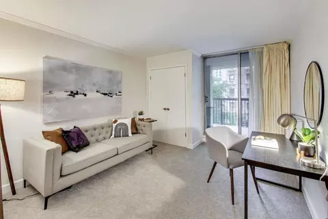 Living - 201 E Chestnut St #3A, Chicago, IL 60611 photo 2 of 7