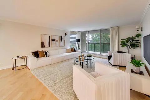 Living - 201 E Chestnut St #3A, Chicago, IL 60611 photo 3 of 7