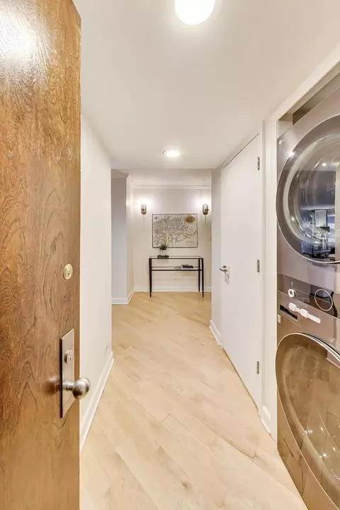 Entry Way - 201 E Chestnut St #3A, Chicago, IL 60611 photo 3 of 4
