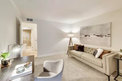 Other - 201 E Chestnut St #3A, Chicago, IL 60611 photo 5 of 19