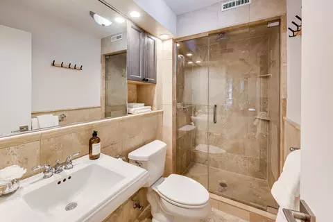 Bath - 201 E Chestnut St #3A, Chicago, IL 60611 photo 2 of 4