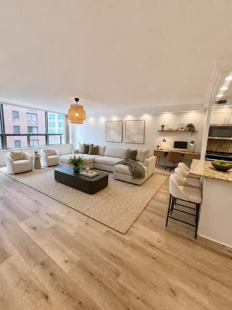 Living - 110 E Delaware Pl #1402, Chicago, IL 60611 photo 3 of 9
