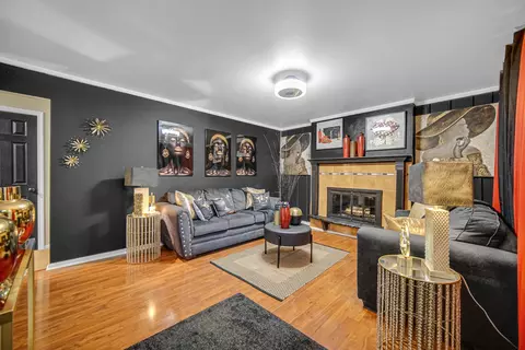 Living - 351 E 146th St, Harvey, IL 60426 photo 1 of 4