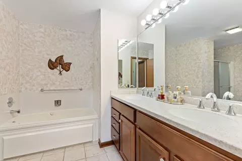 Bath - 21000 W Hazelnut Ln, Plainfield, IL 60544 photo 1 of 5