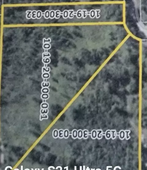 1019031 Green Acres Rd, Pembroke Township, IL 60958