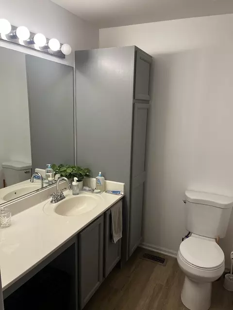 Bath - 1918 Windstone Dr, Plainfield, IL 60586 photo 1 of 5