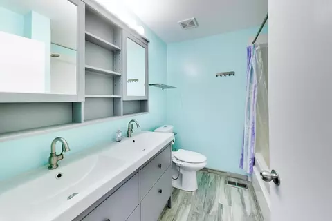 Bath - 317 E Tall Oaks Ln, Itasca, IL 60143 photo 1 of 3