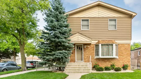 11001 S Ridgeway Ave, Chicago, IL 60655