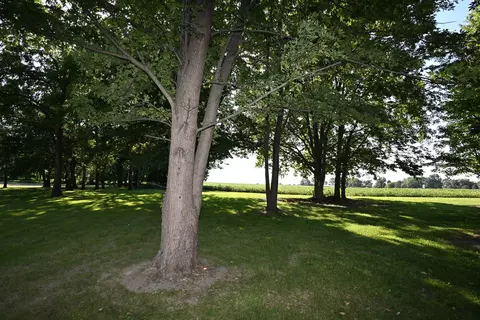 Exterior - Undisclosed, Kappa, IL 61738 photo 10 of 14