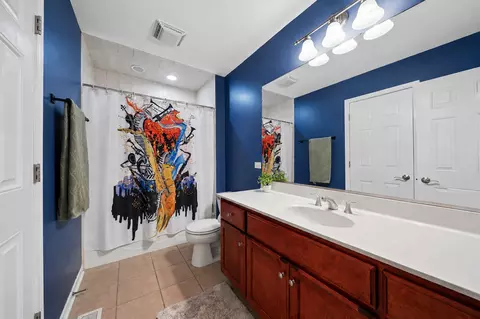 Bath - 415 Ranch Rd, Wheaton, IL 60187 photo 5 of 7