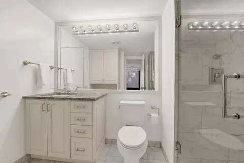 Bath - 40 E Delaware Pl #1701, Chicago, IL 60611 photo 3 of 4