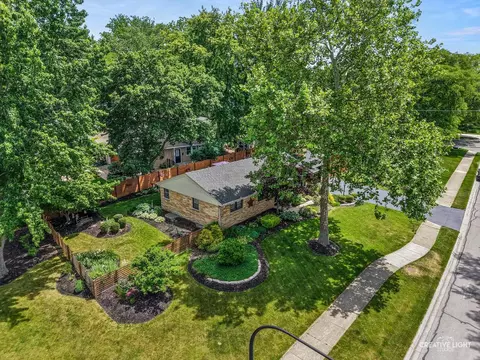 View/Area - 516 S Sleight St, Naperville, IL 60540 photo 2 of 11
