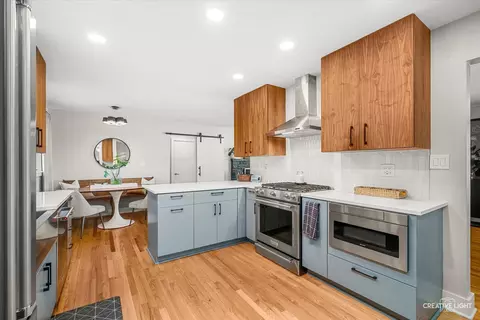 Kitchen - 516 S Sleight St, Naperville, IL 60540 photo 5 of 6