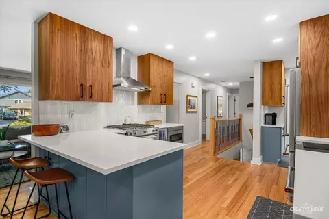 Kitchen - 516 S Sleight St, Naperville, IL 60540 photo 4 of 6