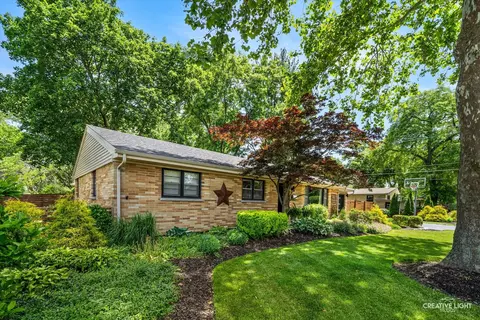 Exterior - 516 S Sleight St, Naperville, IL 60540 photo 2 of 9