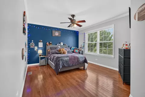 Bedroom - 25439 Bower Ct, Plainfield, IL 60585 photo 2 of 4