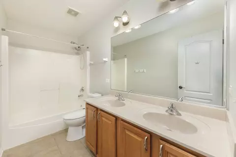 Bath - 26208 W Milestone Dr, Plainfield, IL 60585 photo 6 of 9