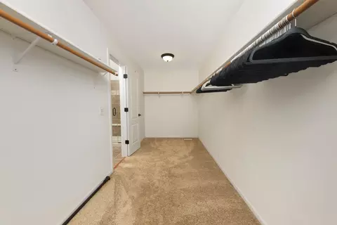 Other - 26208 W Milestone Dr, Plainfield, IL 60585 photo 10 of 27