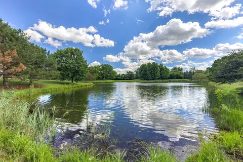 View/Area - 26208 W Milestone Dr, Plainfield, IL 60585 photo 4 of 4