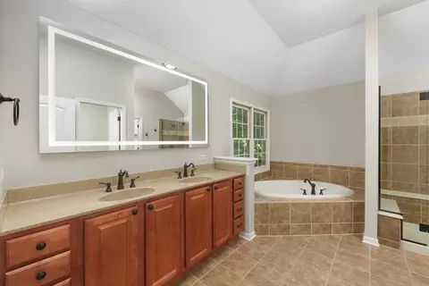 Bath - 26208 W Milestone Dr, Plainfield, IL 60585 photo 3 of 9