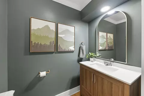 Bath - 1725 Maple Leaf Ct, Wheaton, IL 60187 photo 1 of 5