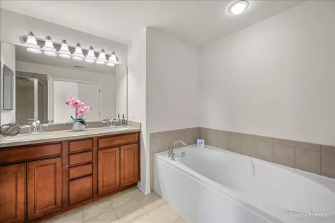 Bath - 1005 Alberta Rd, Elgin, IL 60124 photo 3 of 4