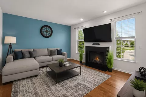Living - 1005 Alberta Rd, Elgin, IL 60124 photo 3 of 6