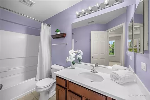 Bath - 1005 Alberta Rd, Elgin, IL 60124 photo 4 of 4