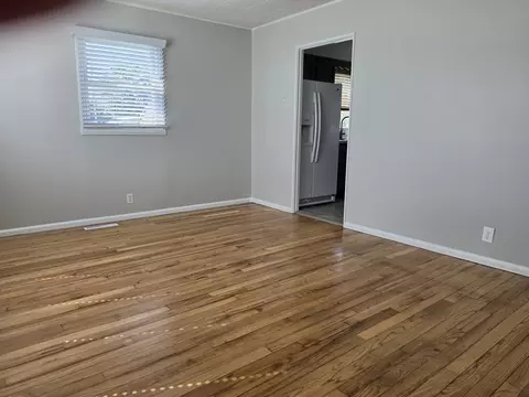 Living - 102 E Washington St, Danforth, IL 60930 photo 2 of 2