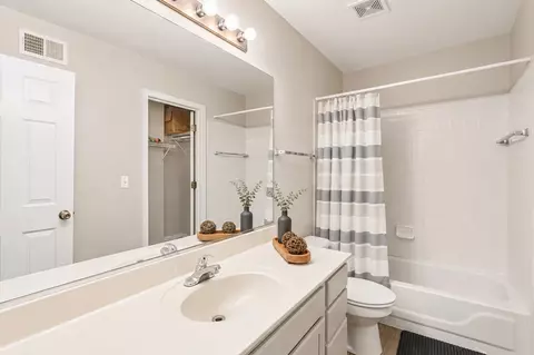 Bath - 21242 W Edison Ln, Plainfield, IL 60544 photo 4 of 4