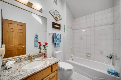Bath - 19331 Everett Ln, Mokena, IL 60448 photo 3 of 4