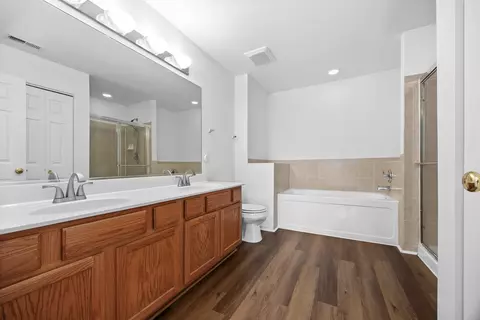 Bath - 24013 W Walnut Cir W, Plainfield, IL 60585 photo 3 of 4