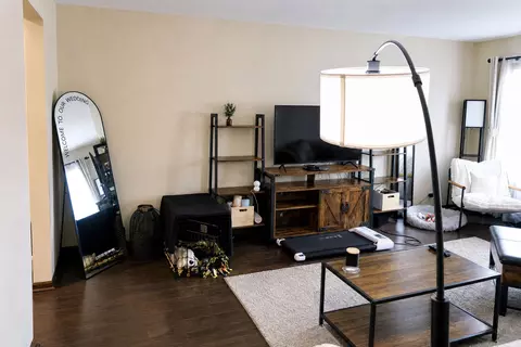 Living - 1302 E Washington St #B1, Des Plaines, IL 60016 photo 4 of 5
