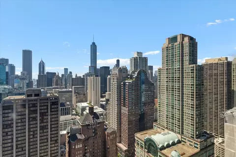 Other - 161 E Chicago Ave #33C, Chicago, IL 60611 photo 12 of 14
