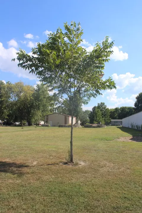 Other - 709 Thomas St, Iuka, IL 62849 photo 5 of 17