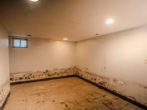 Other - 250 E 143rd St, Dolton, IL 60419 photo 3 of 5