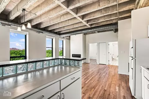 Other - 811 S Lytle St #502, Chicago, IL 60607 photo 1 of 8