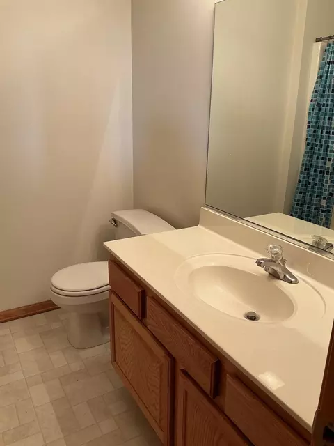 Bath - 5613 W Sutton Pl, Monee, IL 60449 photo 5 of 5