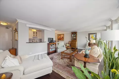 Living - 111 E Chestnut St #16J, Chicago, IL 60611 photo 1 of 4