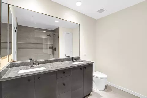 Bath - 240 E Illinois St #1102, Chicago, IL 60611 photo 3 of 5