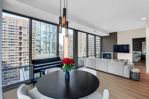 Other - 240 E Illinois St #1102, Chicago, IL 60611 photo 2 of 10