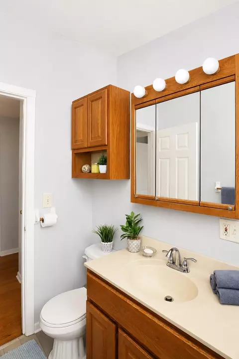 Bath - 136 N May St, Addison, IL 60101 photo 2 of 4
