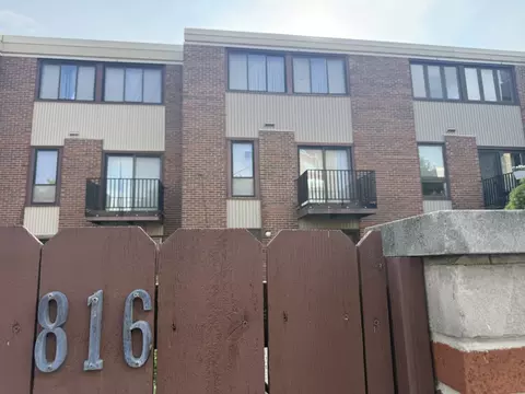 Exterior - 816 S Laflin St, Chicago, IL 60607 photo 7 of 7