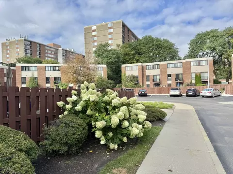 Exterior - 816 S Laflin St, Chicago, IL 60607 photo 6 of 7