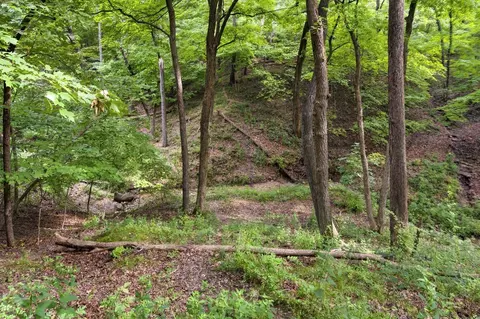 Other - 2351 E 28th Rd, Marseilles, IL 61341 photo 16 of 18