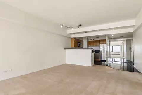 Living - 175 E Delaware Pl #5721, Chicago, IL 60611 photo 2 of 5