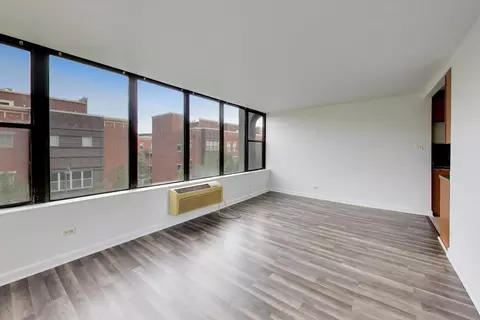 Living - 345 Eastgate Pl #302, Chicago, IL 60616 photo 8 of 8